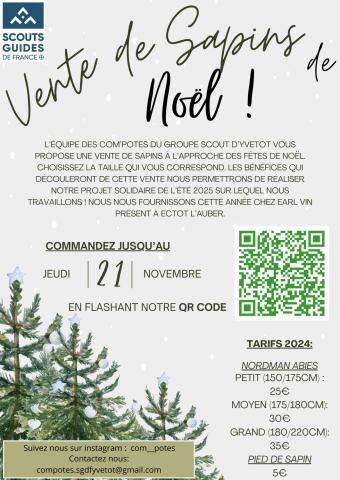 Vente de sapins de Noël