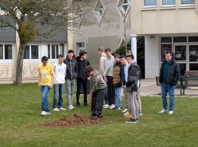 Atelier Greffe - Mars 2025