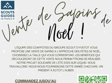 Vente de sapins de Noël
